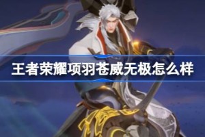 王者荣耀项羽苍威无极怎么样