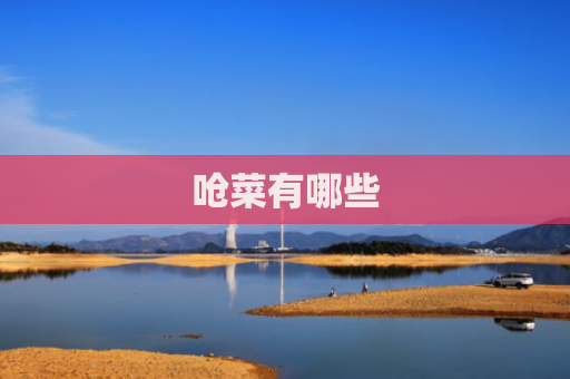 呛菜有哪些