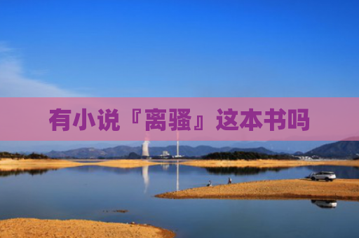 有小说『离骚』这本书吗