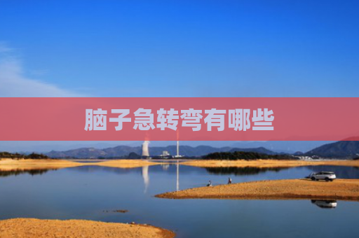 脑子急转弯有哪些