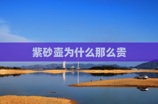 紫砂壶为什么那么贵
