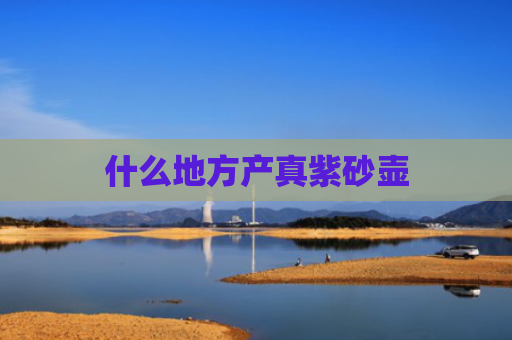 什么地方产真紫砂壶