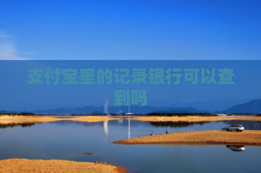 支付宝里的记录银行可以查到吗