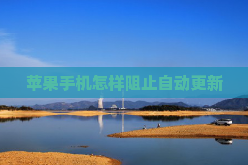 苹果手机怎样阻止自动更新