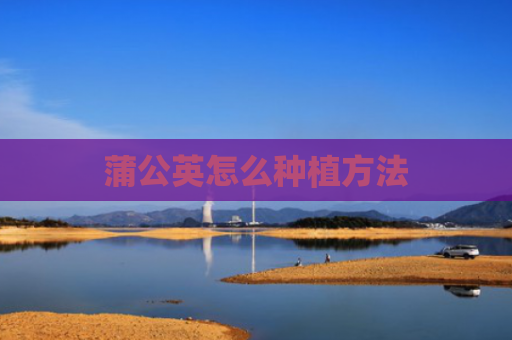 蒲公英怎么种植方法