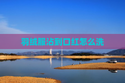 羽绒服沾到口红怎么洗