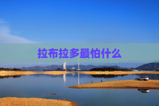 拉布拉多最怕什么