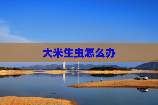 大米生虫怎么办