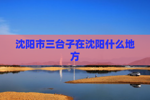 沈阳市三台子在沈阳什么地方
