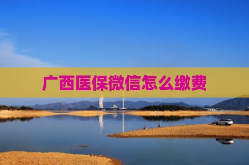 广西医保微信怎么缴费