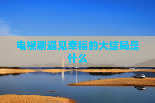 电视剧遇见幸福的大结局是什么