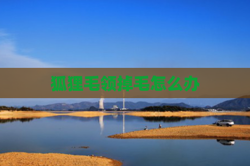 狐狸毛领掉毛怎么办