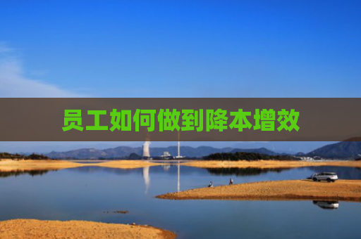 员工如何做到降本增效