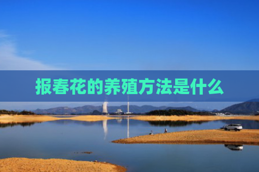 报春花的养殖方法是什么