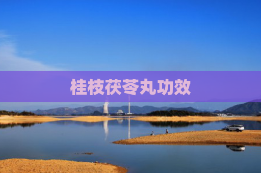 桂枝茯苓丸功效