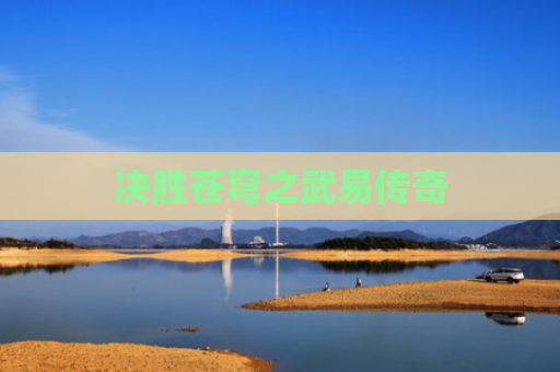 决胜苍穹之武易传奇
