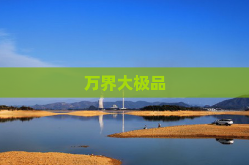 万界大极品