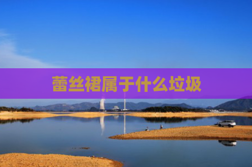 蕾丝裙属于什么垃圾