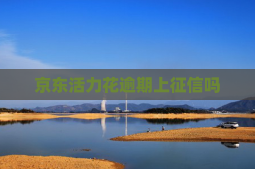 京东活力花逾期上征信吗