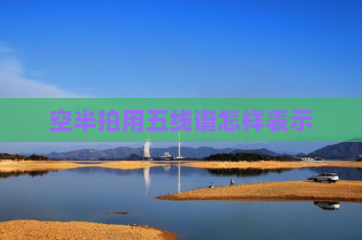 空半拍用五线谱怎样表示