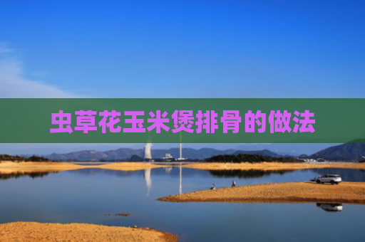虫草花玉米煲排骨的做法