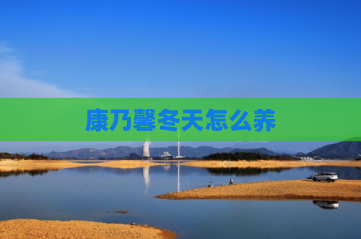 康乃馨冬天怎么养
