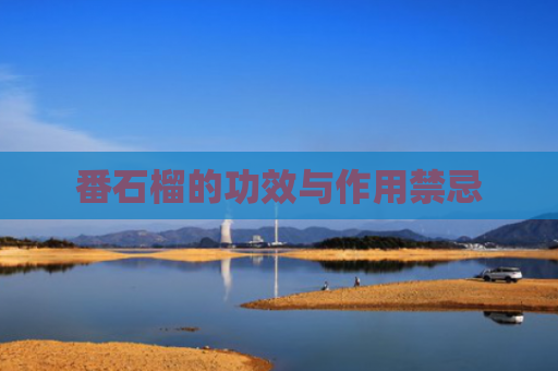 番石榴的功效与作用禁忌