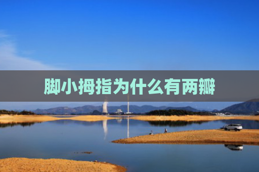 脚小拇指为什么有两瓣