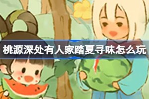 桃源深处有人家踏夏寻味怎么玩