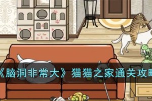 脑洞非常大猫猫之家怎么过