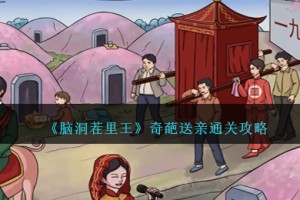 脑洞茬里王奇葩送亲怎么过