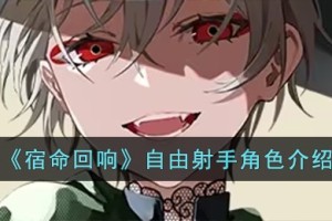 宿命回响自由射手怎么样
