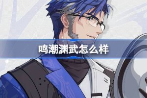 鸣潮渊武怎么样