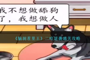 脑洞茬里王二哈逆袭怎么过