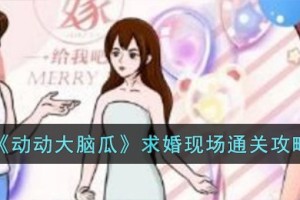 动动大脑瓜求婚现场怎么过