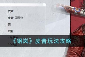 钢岚皮普怎么玩