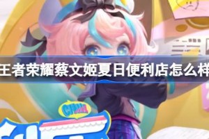 王者荣耀蔡文姬夏日便利店怎么样
