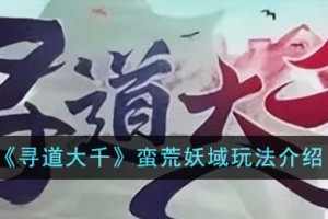 寻道大千蛮荒妖域怎么玩