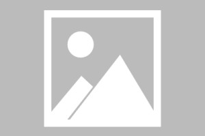 米侠浏览器怎么保存密码
