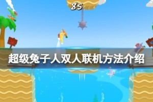 疯狂兔子人双人联机