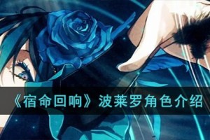 宿命回响波莱罗怎么样