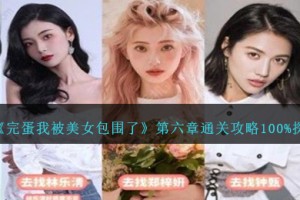 完蛋我被美女包围了第六章怎么过