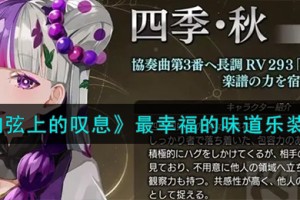 宿命回响弦上的叹息最幸福的味道乐装怎么样