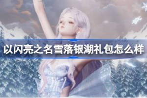 以闪亮之名雪落银湖怎么样