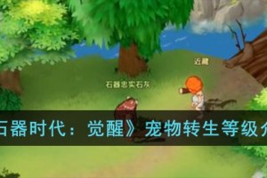 石器时代觉醒宠物转生等级是多少