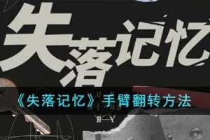 失落记忆手臂怎么翻