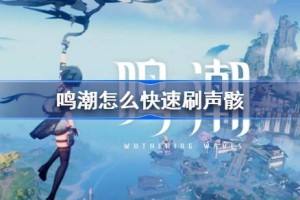 鸣潮怎么快速刷声骸