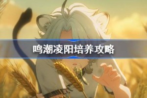 鸣潮凌阳培养攻略