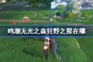 鸣潮无光之森狂野之猩在哪