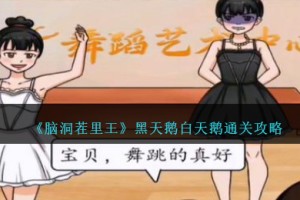 脑洞茬里王黑天鹅白天鹅攻略